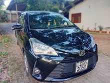 Toyota Vitz 2017 Car