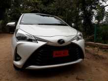 Toyota Vitz 2017 Car