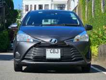 Toyota Vitz 2017 Car