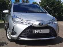 Toyota Vitz 2017 Car