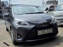 Toyota Vitz 2017 Car