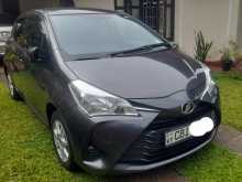 Toyota Vitz 2017 Car