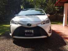 Toyota Vitz 2017 Car