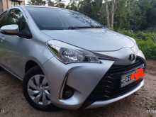 Toyota Vitz 2017 Car