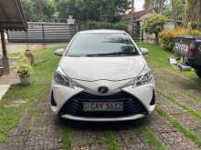 Toyota Vitz 2017 Car