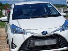 Toyota Vitz 2018 Car