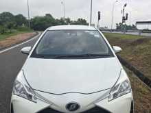 Toyota Vitz 2018 Car