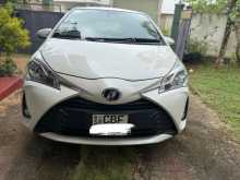 Toyota Vitz 2018 Car