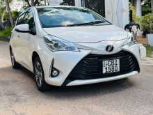 Toyota Vitz 2019 Car