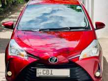 Toyota Vitz 2019 Car