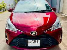 Toyota Vitz 2019 Car