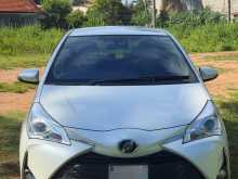 Toyota Vitz 2019 Car