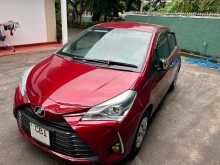 Toyota Vitz 2019 Car
