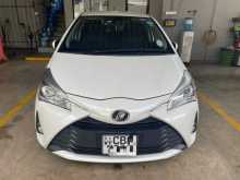 Toyota Vitz 2019 Car