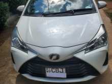 Toyota Vitz 2019 Car