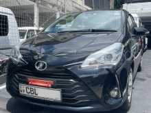 Toyota Vitz 2019 Car