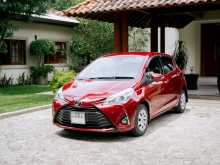 Toyota Vitz 2019 Car