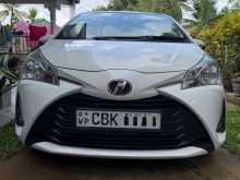 Toyota Vitz 2019 Car