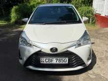 Toyota Vitz 2019 Car