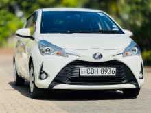 Toyota Vitz 2019 Car