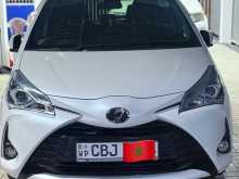 Toyota Vitz 2019 Car