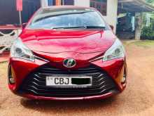 Toyota Vitz 2019 Car