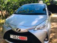Toyota Vitz 2019 Car