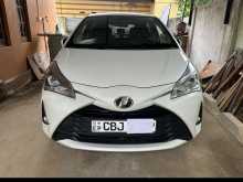 Toyota Vitz 2019 Car