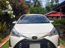 Toyota Vitz 2019 Car