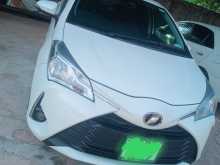 Toyota Vitz 2019 Car