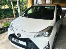 Toyota Vitz 2019 Car