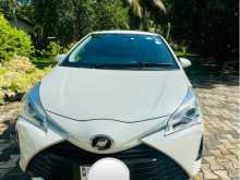 Toyota Vitz 2019 Car