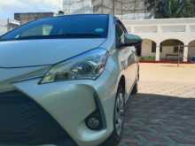 Toyota Vitz 2019 Car