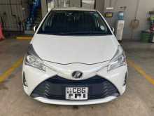 Toyota Vitz 2019 Car