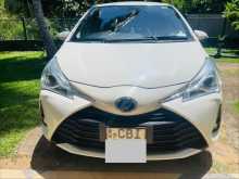 Toyota Vitz 2019 Car