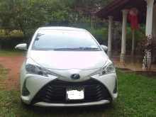 Toyota Vitz 2019 Car