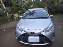 Toyota Vitz 2019 Car