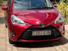 Toyota Vitz 2019 Car