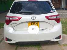 Toyota Vitz 2019 Car