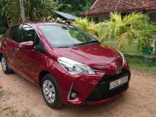 Toyota Vitz 2019 Car