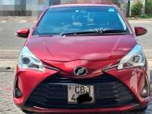 Toyota Vitz 2019 Car