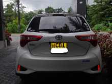 Toyota Vitz 2019 Car