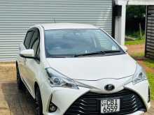 Toyota Vitz 2019 Car