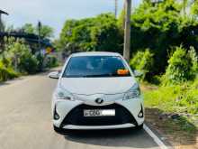 Toyota Vitz 2019 Car
