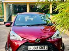 Toyota Vitz 2019 Car