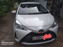 Toyota Vitz 2019 Car