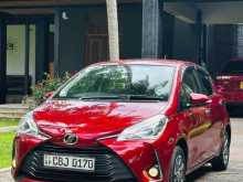 Toyota Vitz 2019 Car