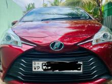 Toyota Vitz 2019 Car