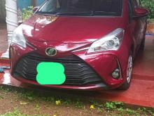 Toyota Vitz 2019 Car