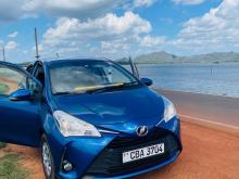Toyota Vitz 2017 Car
